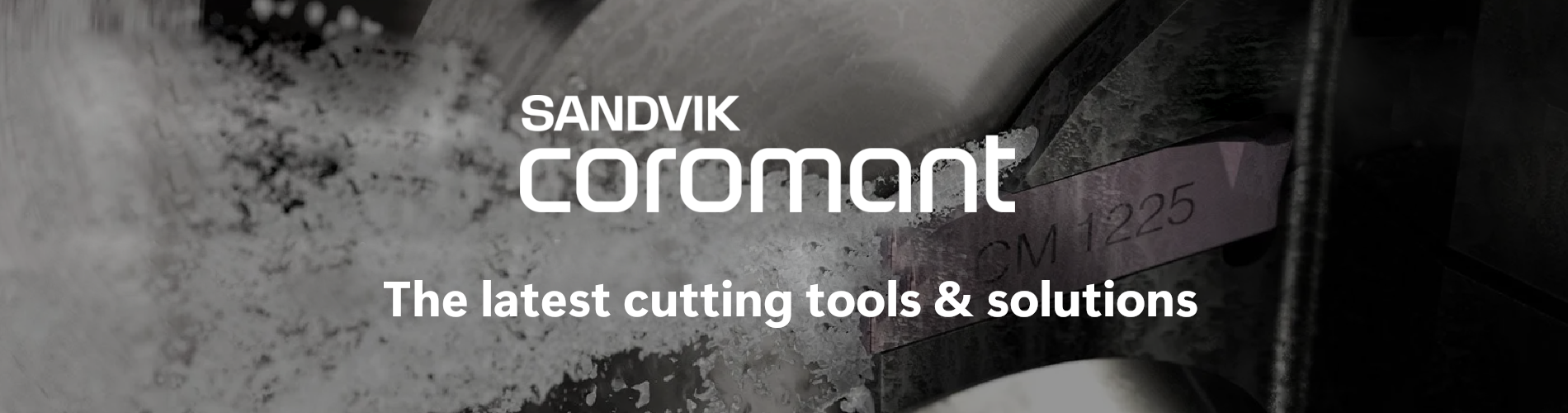 sandvik-banner